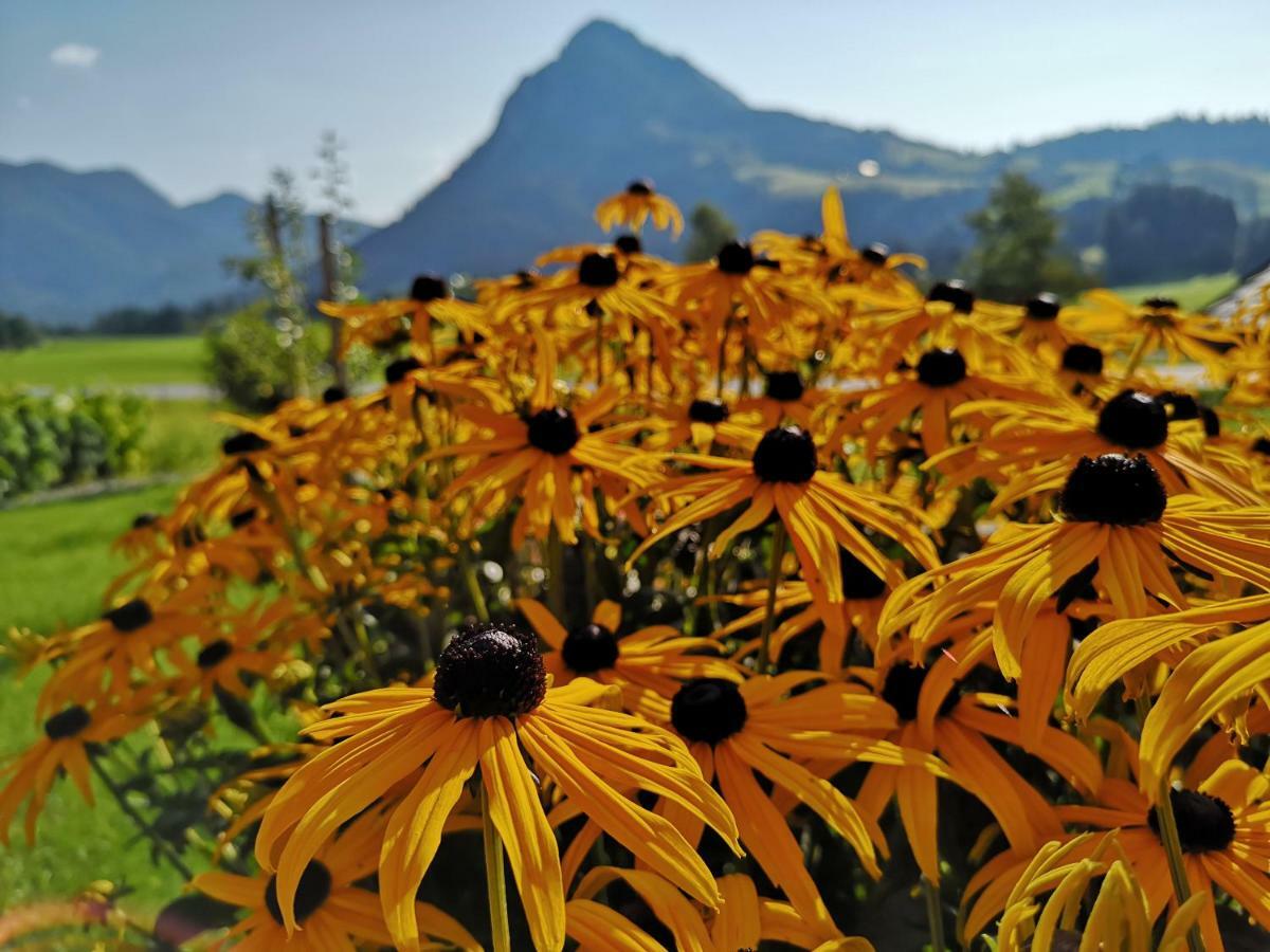 Apartmán Haus Edelgruen Tauplitz Exteriér fotografie